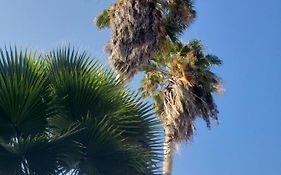 Sea Shell Palms, Ocho Rios